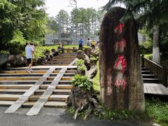 -横道河子东北虎林园