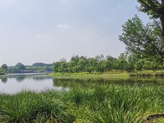 -东郊湿地公园