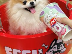 -DQ·蛋糕·冰淇淋(五角场万达店)