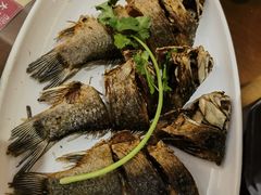 -肖记公安牛肉鱼杂馆·省级非物质文化遗产(三角路直营店)