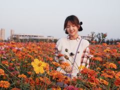 -映月湖中央公园