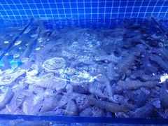 -渔民船说·北塘海鲜·天津菜·海肠捞饭(北塘古镇店)