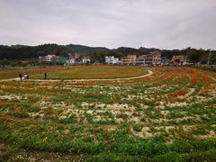 -红山村