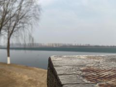 -丁香湖公园