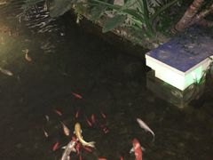-汤山翠谷生态餐厅