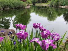 -上海滨江森林公园
