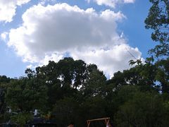 -金鸡湖桃花岛