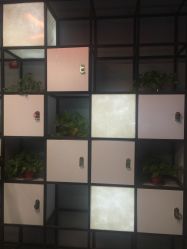 -MAGIC米几发型设计·羊毛卷