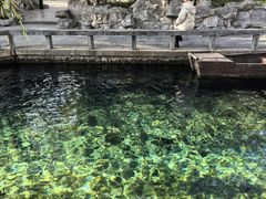 -趵突泉景区