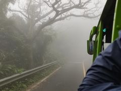 -海南铜鼓岭景区