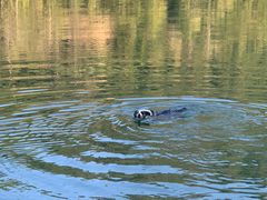 -孔雀湖生态旅游区