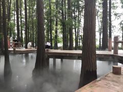 -东湖落雁景区