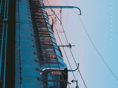 -海堤纪念公园