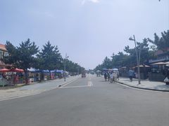 -日照海滨国家森林公园