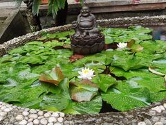 -都江堰普照寺