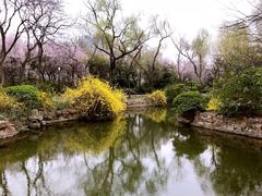 -西苑公园