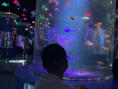 -重庆欢乐海底世界