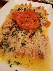 -新城花园酒店·宴会厅