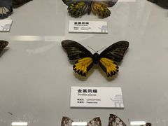 -四川大学博物馆