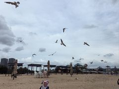 -辽宁团山国家级海洋公园