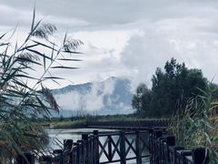 -野鸭湖国家湿地公园