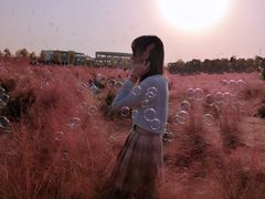 -映月湖中央公园