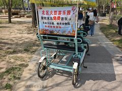 -曹州牡丹园