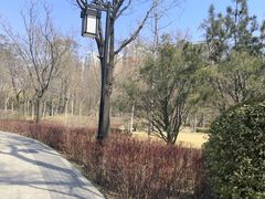 -迎泽公园