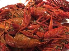 -星伦多 自助料理(圆融店)