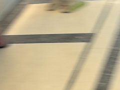 -海天一色海景自助餐厅(西港花园店)