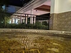 -河源万绿湖美思威尔顿酒店