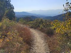 -鬼笑石后山停车场