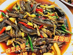 黄鳝-刘土鸡家常菜