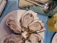 -千岛蚝高压锅生蚝·人参火锅(白云万达店)