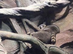 -波塞冬旅游度假区