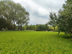 -北坞公园