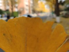 -西南民族大学南区(双流校区)