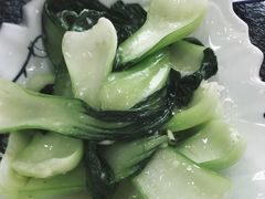 素炒油麦菜-撒拉人家.酸菜牦牛肉火锅