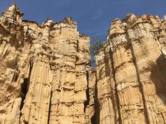 -元谋土林景区(物茂土林)