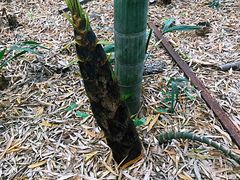 -苏州河梦清园环保主题公园