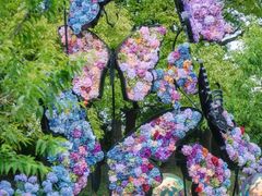 -上海共青森林公园