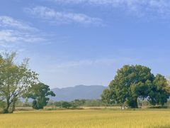 -良渚古城遗址公园