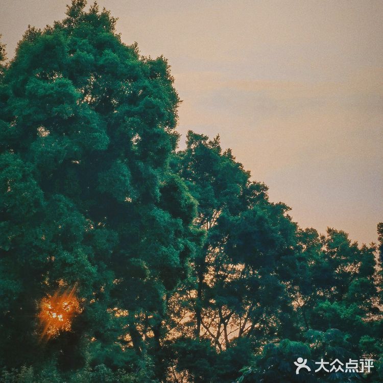广州的渔船晚餐值不值？
