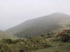 -大姆山草场