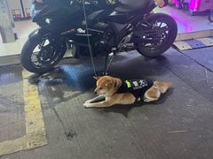 -大学城夜市大排档(凤栖路店)