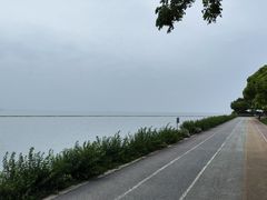 -贡湖湾湿地公园