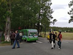 -黄海国家森林公园