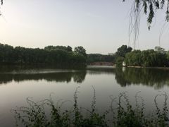 -二一九公园
