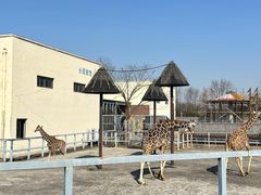 -上方山森林动物世界