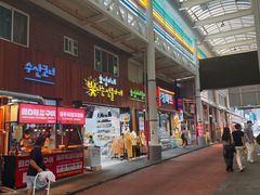 -西归浦每天偶来市场